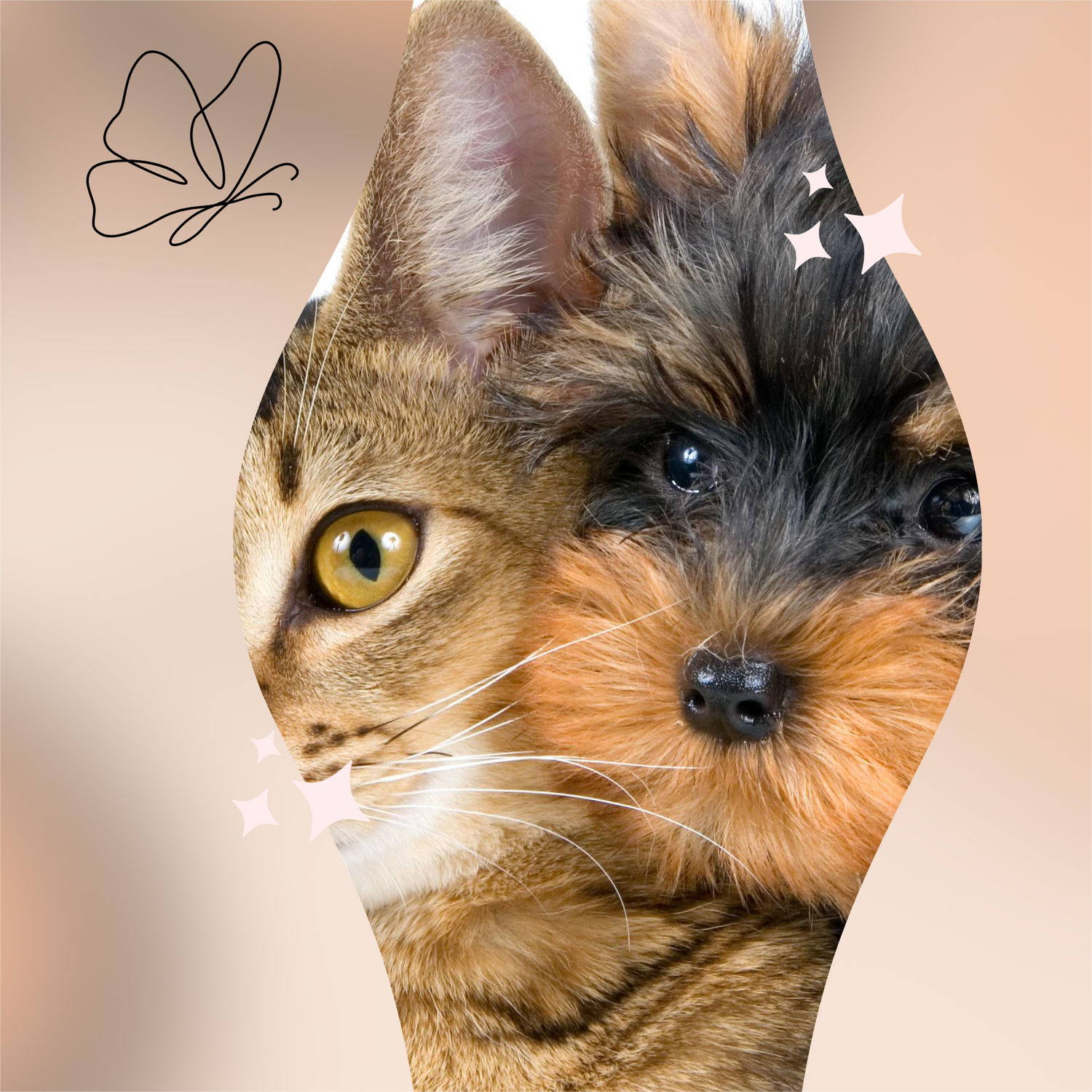 MASCOTAS
