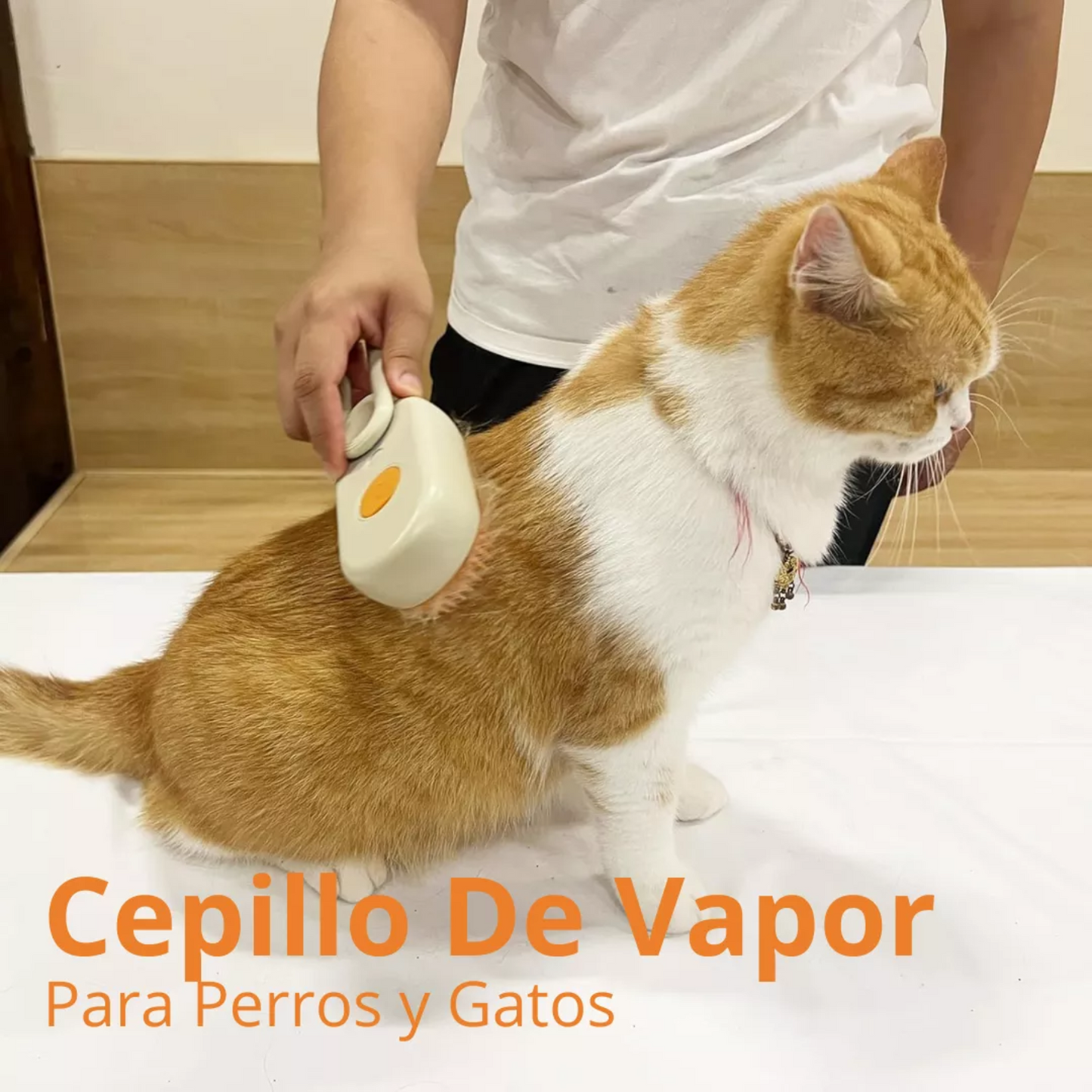 Cepillo para Mascotas a Vapor, Recargable